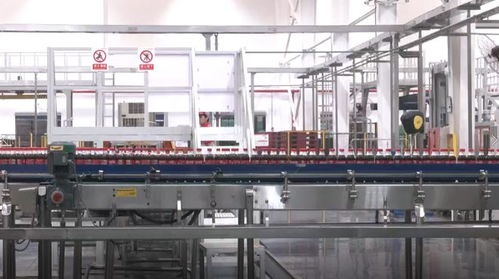 數實相融 算啟未來 中糧可口可樂 插上 數智羽翼 推動企業發展